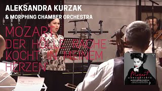 Aleksandra Kurzak amp Morphing Chamber Orchestra I Mozart Der Hölle Rache kocht in meinem Herzen [upl. by Nerha846]