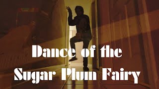 Dance of the Sugar Plum Fairy  Guitar Cover amp Holiday Shenanigans [upl. by Sidras787]