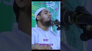 হাফীজুর রহমান ছিদ্দীক কুয়াকাটাHafizur rahman siddiki waz 2024হাফিজুর রহমান সিদ্দিকী ওয়াজ 2024 [upl. by Albarran]