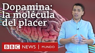 Cómo funciona la dopamina el neurotransmisor que nos da la felicidad y también nos la quita [upl. by Bohlin]