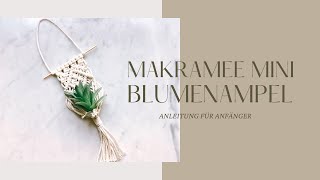 DIY Makramee MiniBlumenampel selber machen für Anfänger  Schritt für Schritt Anleitung [upl. by Hawker108]