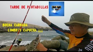 PESCA DE PINTADILLAS Y TRAMBOLLOS EN PLAYA PUNTA HERMOSA [upl. by Aneet]