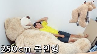 250cm 곰인형 Giant Teddy Bear  허팝 [upl. by Leoline]