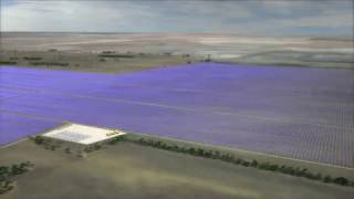 Sunraysia Solar Farm [upl. by Culhert]