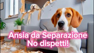 Ansia da Separazione nei Cani 🐶 5 Segnali da Riconoscere 🔍 [upl. by Llirrem]