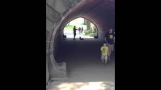 Violin Under The Bridge NYC Central Park [upl. by Lodhia]