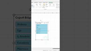 Excelde Dilimleyici Slicer Kullanımı shorts excel exceltricks [upl. by Moore854]