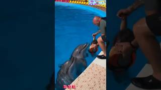 Dolphin 🐬 fish beautiful moment shortsfeed dolphin youtubeshorts [upl. by Joline]