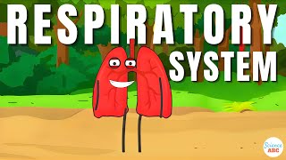 Respiratory System From Inspiration to Expiration Explained in Simple Words [upl. by Bradski324]