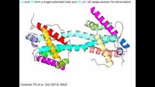 Bcl2 domains with sound [upl. by Enitnelav]