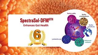 SpectraSol DFM GTH [upl. by Brainard]