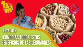 ¿Conocías todos estos beneficios de las legumbres  QuéMañana [upl. by Bain]