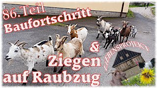 Ziegen auf Raubzug  Baufortschritt 86 Projekt Fachwerkhaus [upl. by Goodden404]