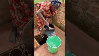 Manually collecting water from bore holeboreholes water satisfying asmr [upl. by Burck688]