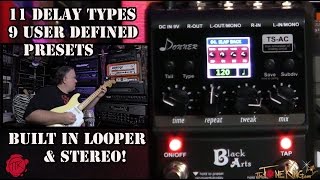 Donner Black Arts Delay  Amazing Delay Pedal [upl. by Xylia804]