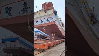 docking kapal nelayan taiwan [upl. by Eemak563]