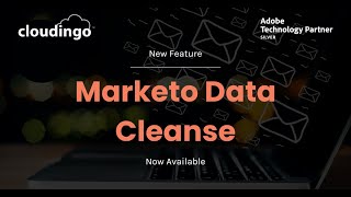 Clean up your Marketo data [upl. by Ailemrac614]