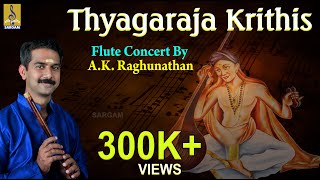 Thyagaraja Krithis  Classical Instrumental  Flute concert by AKRaghunathan [upl. by Janette]