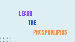 Learn The Phospholipids Biochemistry Microbiology Biotechnology [upl. by Yendys]