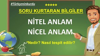 Sözcükte Anlam  Nitel Anlam  Nicel Anlam  Nitel Anlam Nicel Anlam Farkı  Nitelik Nedir  Nicelik [upl. by Battiste]