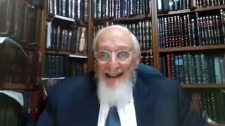 Parshat Noach 5785 by Rabbi Baruch Taub [upl. by Lauretta]