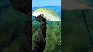 Terlalu Banyak Predator Di spot Ini fishing ultralightcasting ultralightfishing [upl. by Aylad460]