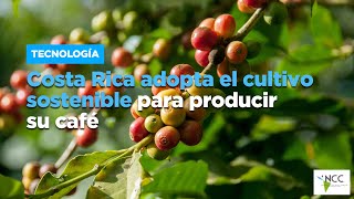 Costa Rica adopta el cultivo sostenible para producir su café [upl. by Hesky]