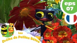 DRÔLES DE PETITES BÊTES  EP07  Le gâteau pourri [upl. by Aicnerolf]