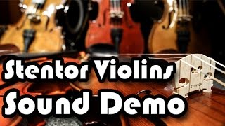 Stentor Violins [upl. by Anthony]