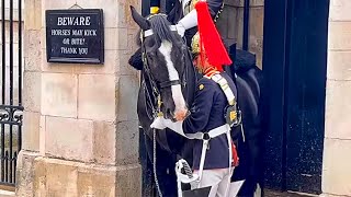 Unbelievable Wait Until You See How This Horse Reacts To His Favorite Guard [upl. by Jarvey]