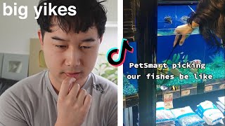 how PetSmart catches your pet fish  Fish Tank Review 252 [upl. by Trudie]