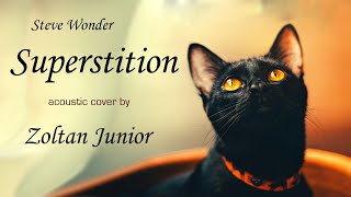 Steve Wonder  Superstition  Acoustic cover by Zoltan Junior [upl. by Celestina557]