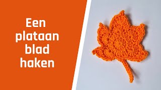 Een plataan blad haken [upl. by Toinette46]