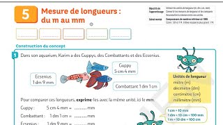 Mesure de longueurs  du m au mm pour comprendre les maths ce2 [upl. by Hubing]