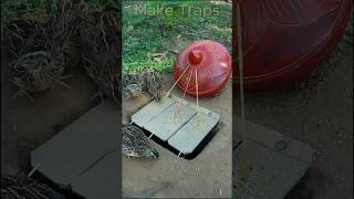 DIY Quail Trap shorts  Make Traps [upl. by Helms]