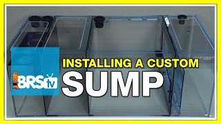 Week 3 Sumps  What do they do and which should you select  52 Weeks of Reefing [upl. by Handler]