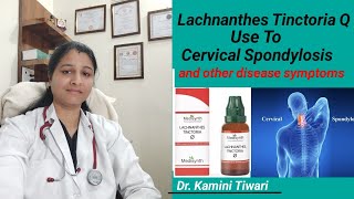 Use of Lachnanthes Tinctoria Q  Homeopethic Important Medicine for cervical spondylitis [upl. by Ahsyt]