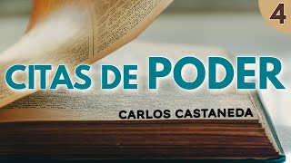 Citas de RELATOS DE PODER  C Castaneda  Español latino voz humana [upl. by Nicholle973]