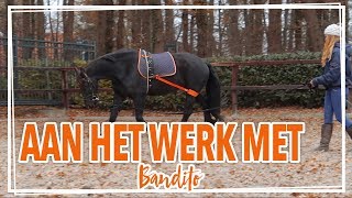 Bandito longeren met een nieuw hulpmiddel  BBLastic [upl. by Haslett]