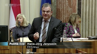 HansJörg Jenewein  Arbeitsprogramm der Koalition  1622017 [upl. by Arivle]