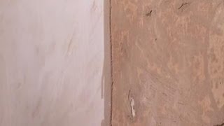 How To Repair A Plaster Wall [upl. by Nossila]