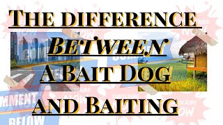 The Difference Between A Bait Dog And Baiting [upl. by Rocco]