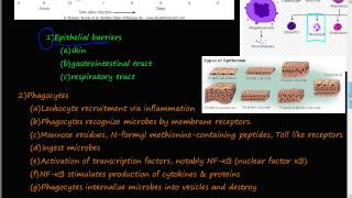 66P  Innate Immunity Epithelial barriers Phagocytes Complement system [upl. by Opal]