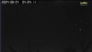 Perseids meteor shower  Live night sky with infrared camera  maybe some meteor can be seen [upl. by Trimmer]