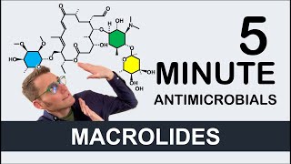 Macrolides  5 Minute Antimicrobials [upl. by Kinzer]