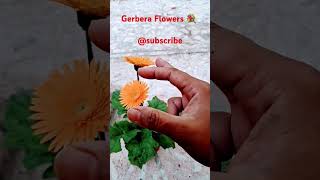 Gerbera flower💐 flowers shortfeed gerbera gardening cuteflowers plantlover shorts viralvideo [upl. by Felicio]