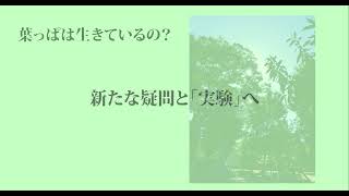 【福島大学 人間発達文化学類】②保育場面から見る幼児理解「新たな教師の学び」に対応したオンライン研修コンテンツ開発事業 [upl. by Pacian]