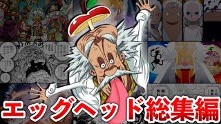 【ONEPIECE】エッグヘッド編のあらすじをまとめて解説 [upl. by Ki]