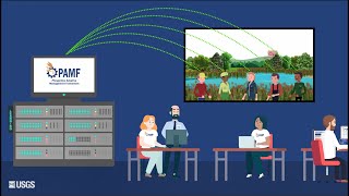 Phragmites Adaptive Management Framework Model Overview [upl. by Eerdua]