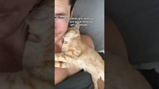 Why cats are the best viral [upl. by Mordy828]